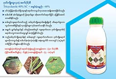 Gode Kyoe Htoo 40% SC