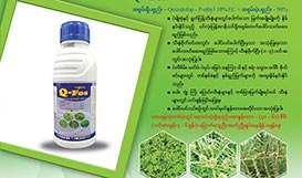 Q-Fos 10% EC