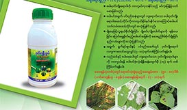 Gode Kyoe Sheel 40 % SC