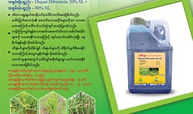 Diquat Dibromite 20% SL+ 