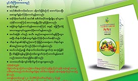 Po Po ( Amino Acid )