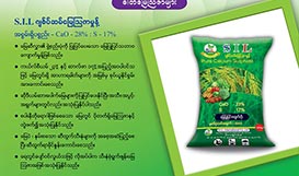 S.I.L Pure Calcium Sulphate