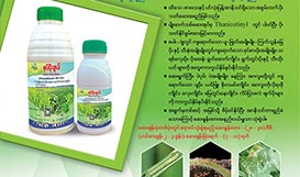 Sope Poe Shal 35% SC