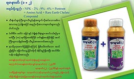 Rare Earth Chelate Compound